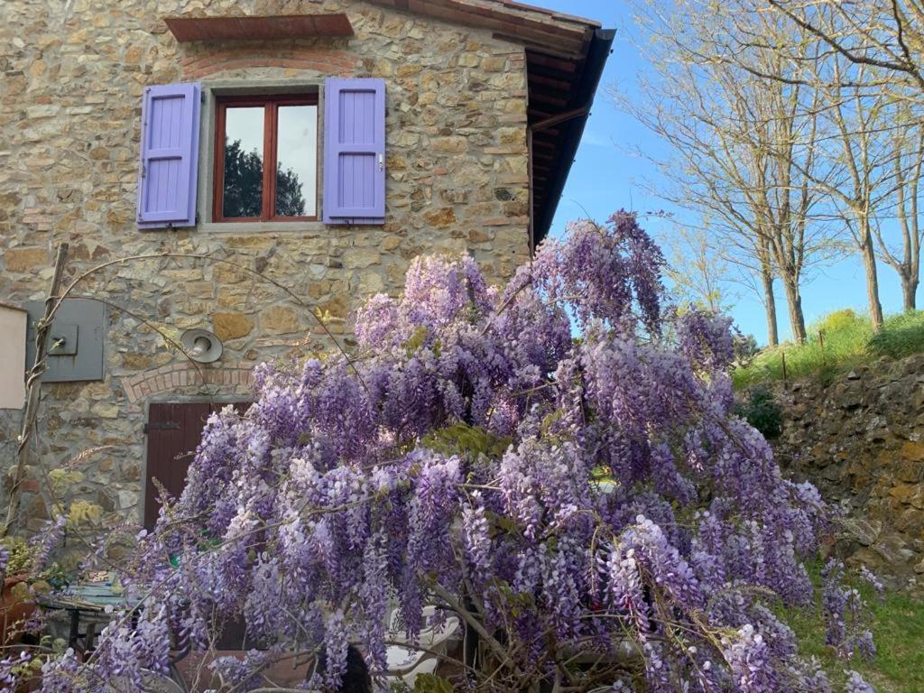 Montenero  Antico Casale Il Fiorentino מראה חיצוני תמונה